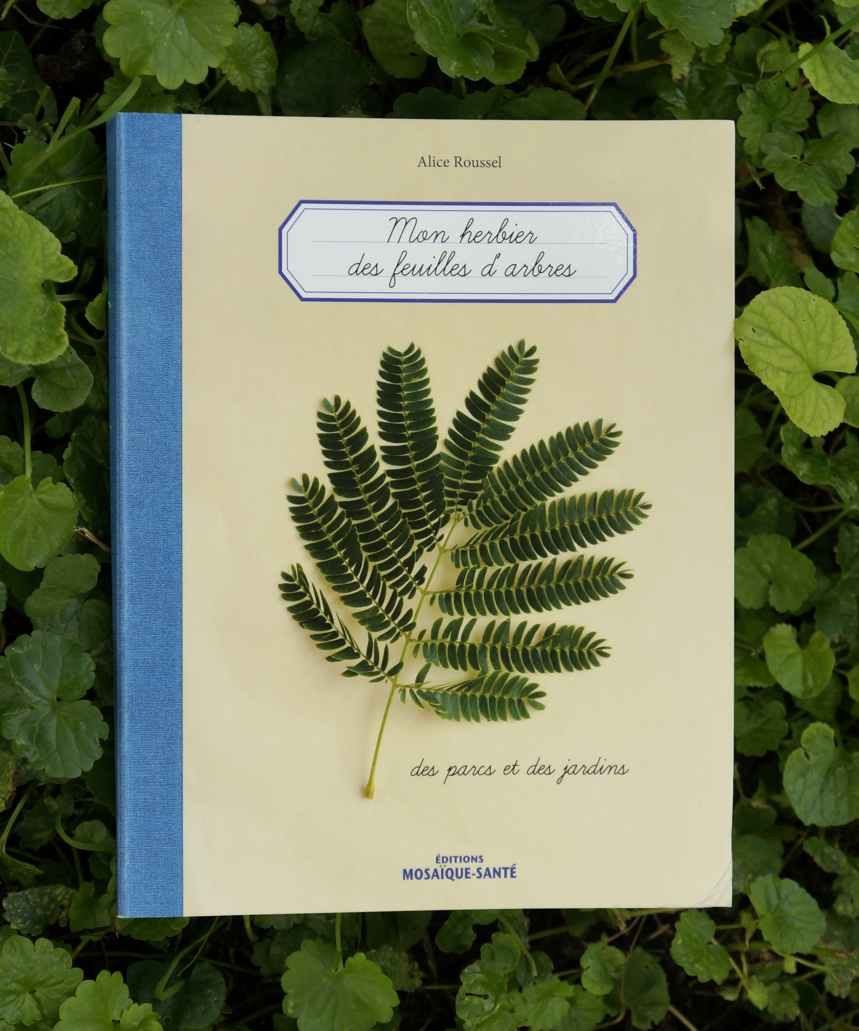 Mon Herbier des parcs et des jardins