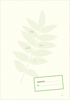 Mon herbier des feuilles d'arbres… des campagnes et des forêts - épuisé -  Editions Mosaïque Santé