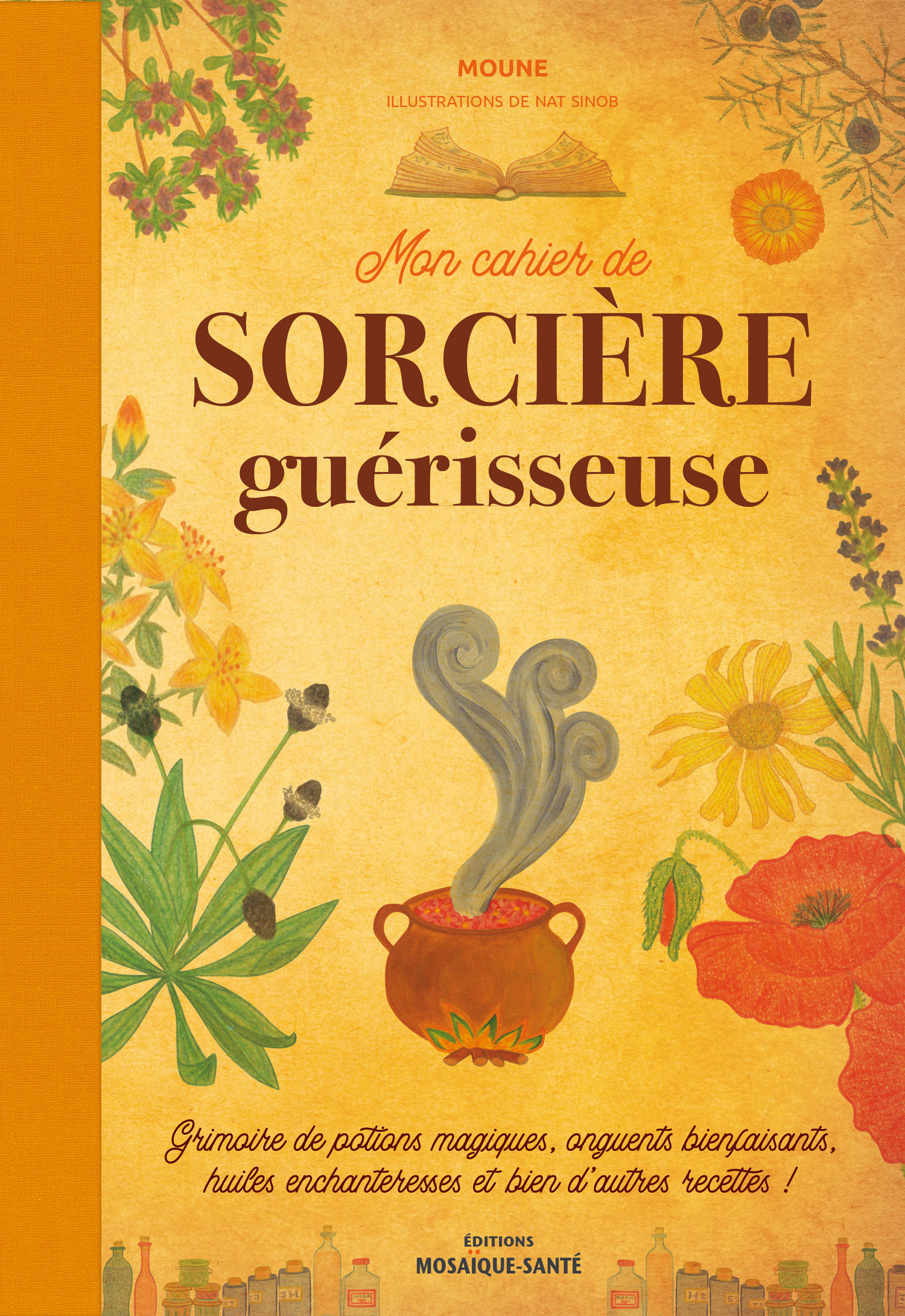 Mon cahier de sorcière guérisseuse - Grimoire de potions magiques, onguents bienfaisants, huiles enchanteresses et bien d’autres recettes !