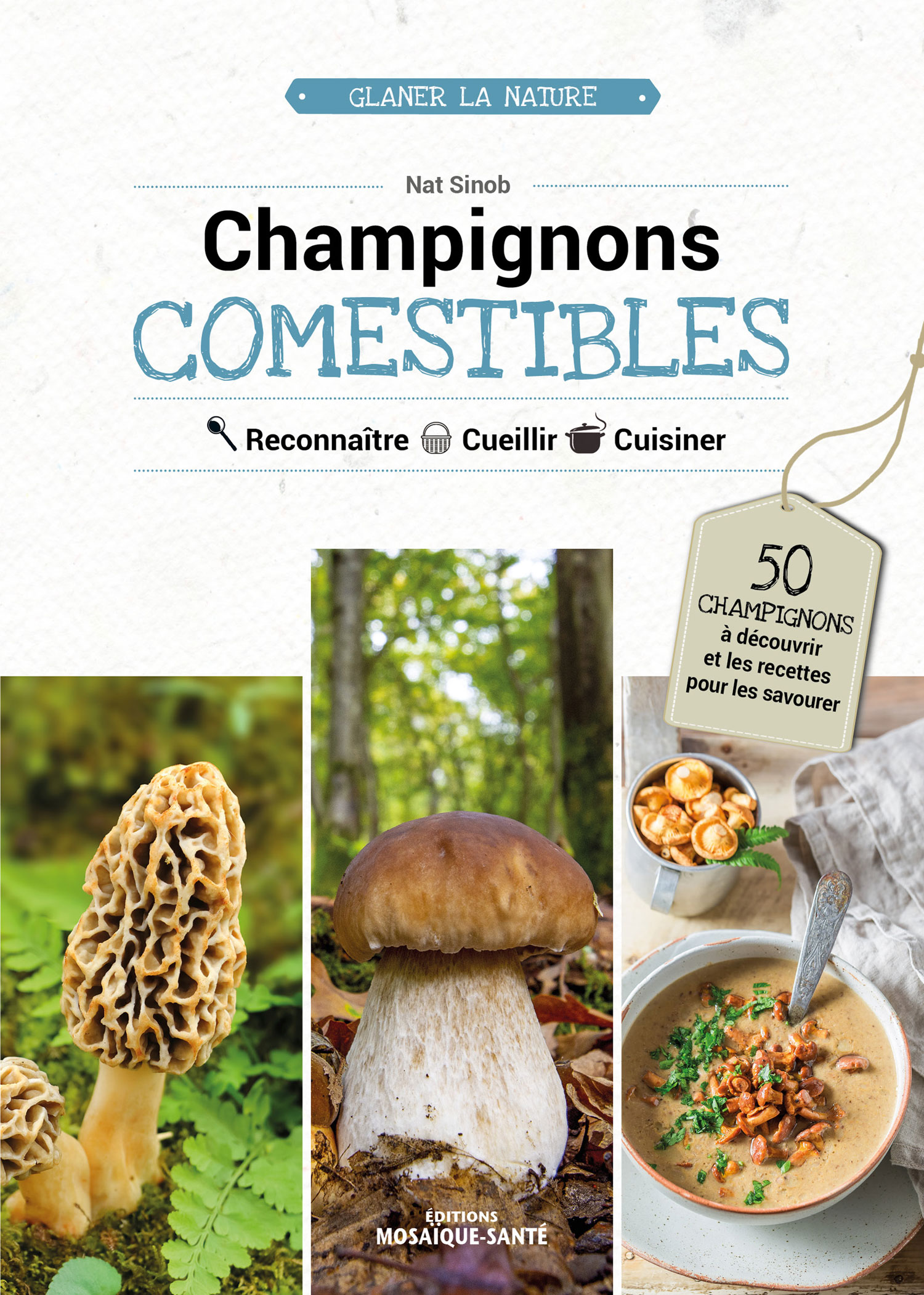 Champignons COMESTIBLES Reconnaître  Cueillir  Cuisiner  50 champignons comestibles à découvrir et les recettes pour les savourer !