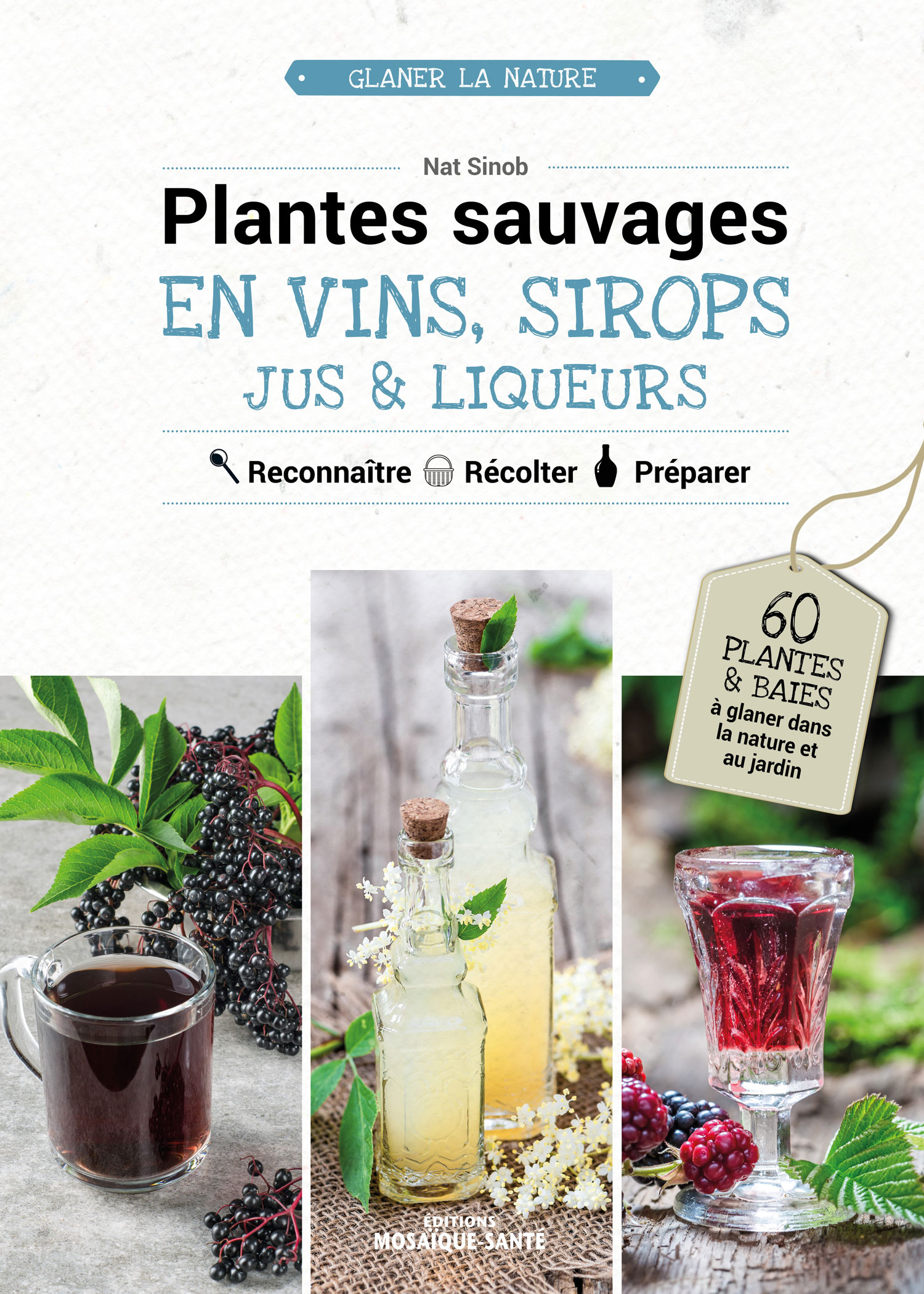 Plantes sauvages en vins, sirops, jus & liqueurs de Nat Sinob