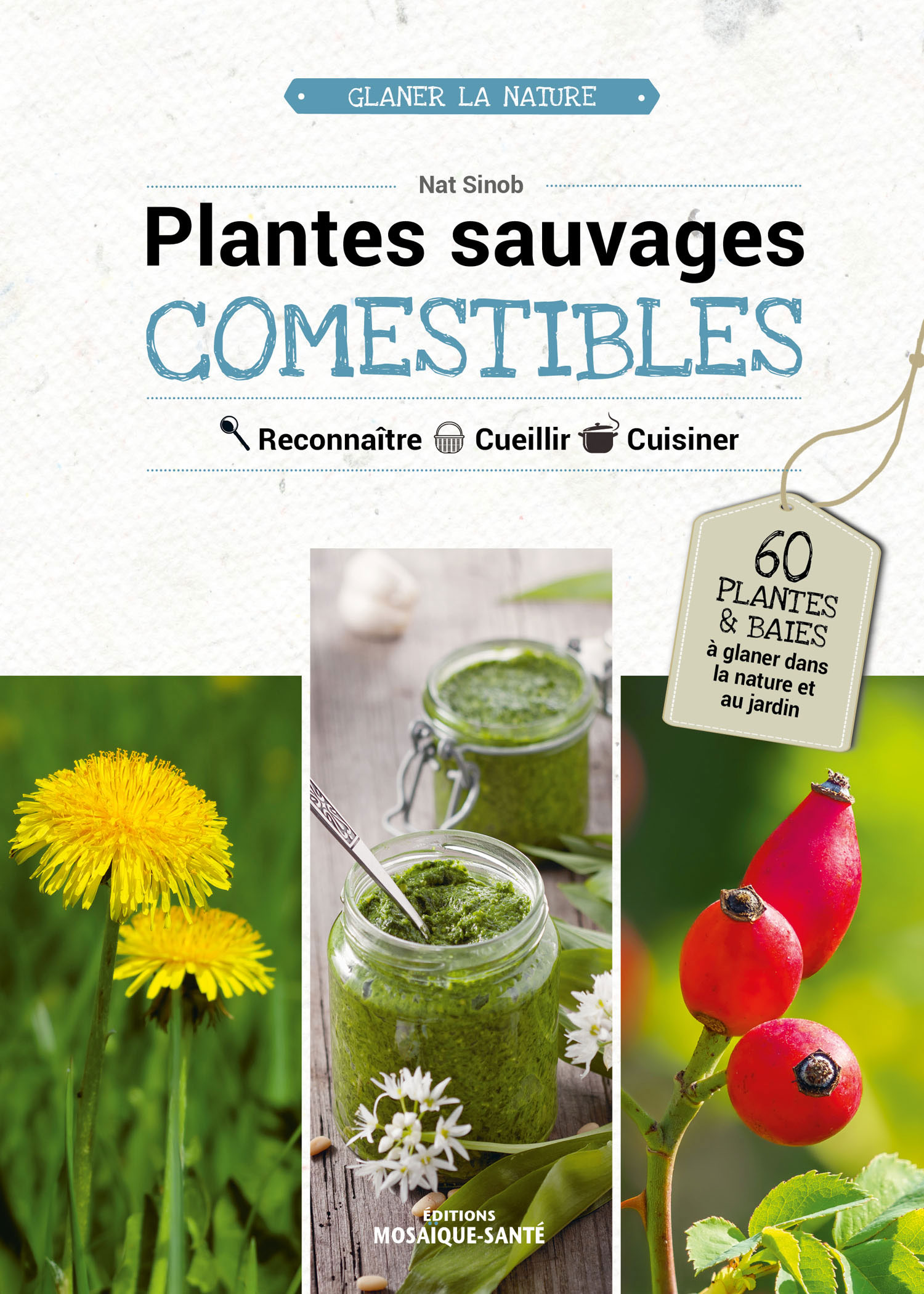 Reconnaître  Cueillir  Cuisiner 60 plantes et fruits à glaner dans la nature ou au jardin et les recettes pour les savourer !