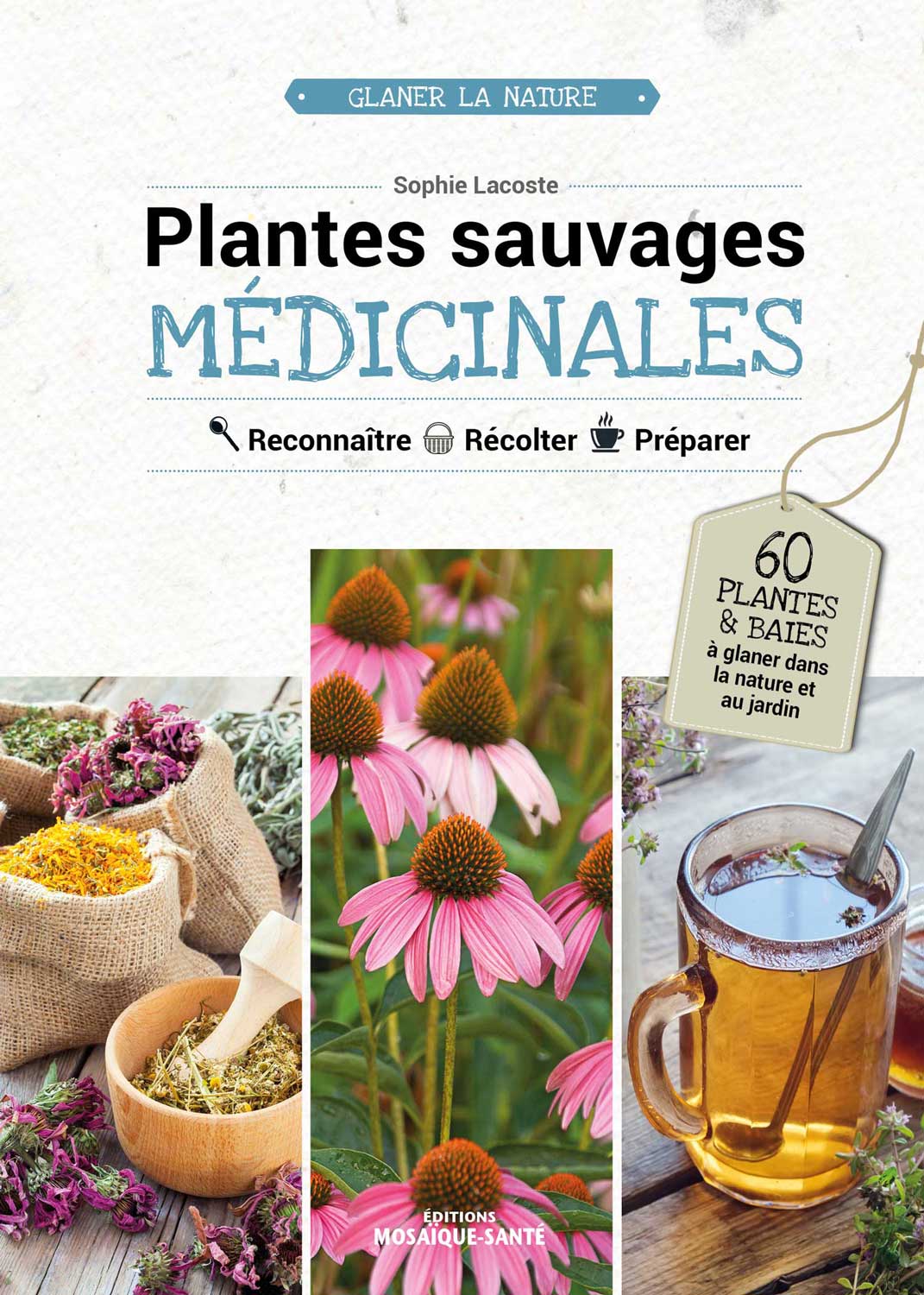 Reconnaître  Récolter  Préparer  60 plantes à glaner dans la nature ou au jardin, 160 recettes pour les préparer et se soigner !