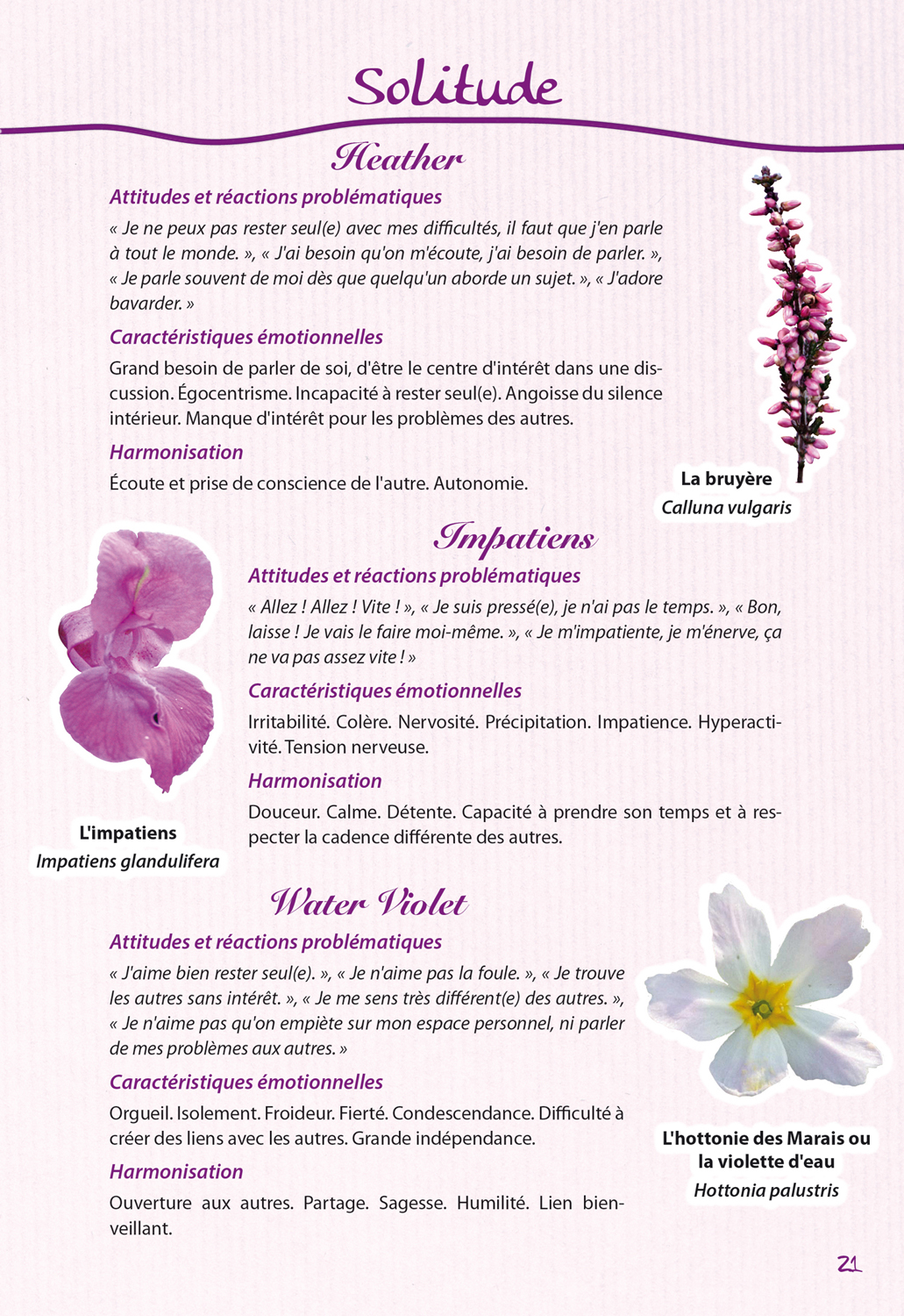 Les élixirs floraux descriptions - émotions - fleurs
